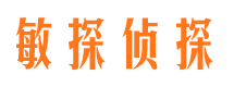 贵南侦探公司